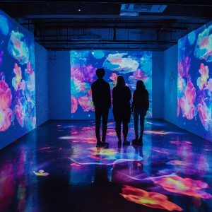 Design And Installation Of Indoor And Outdoor Custom LED Displays